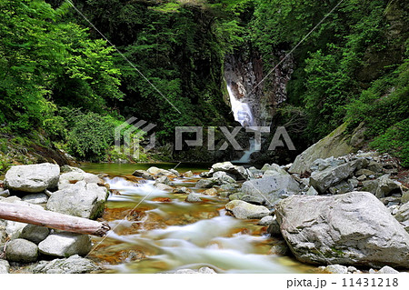 尾白川渓谷　千ヶ淵 11431218