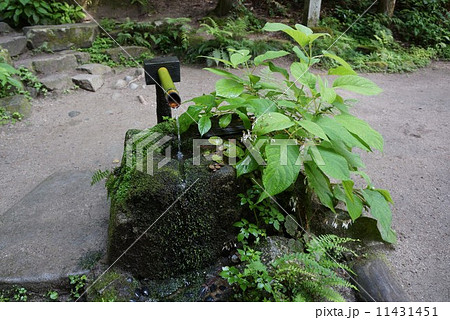 名水百選 猿庫の泉 名水百選 猿庫の泉 11431451
