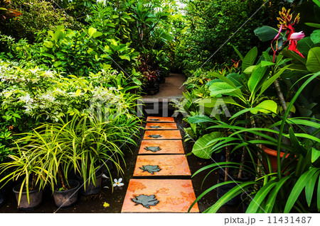 Landscaping in the garden. The path in the garden. 11431487