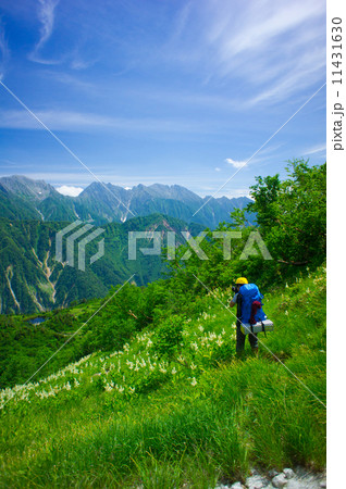 夏の北アルプス 11431630