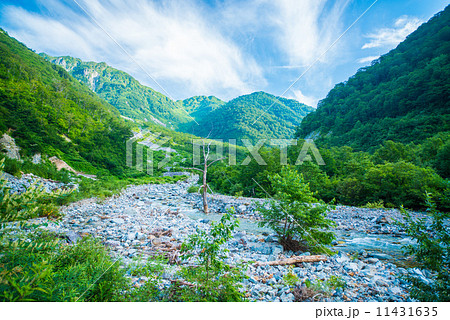 夏の北アルプス 11431635