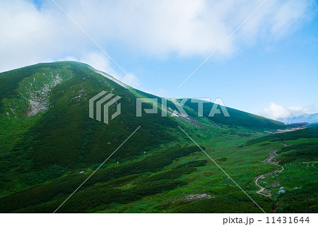 夏の北アルプス 11431644