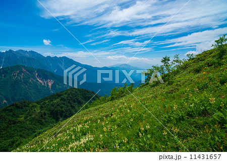 夏の北アルプス 11431657