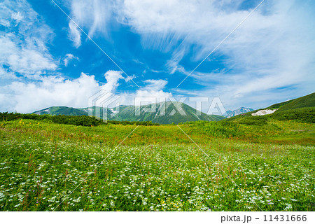 夏の北アルプス 11431666