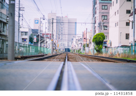 路面電車の道 路面電車の道 11431858