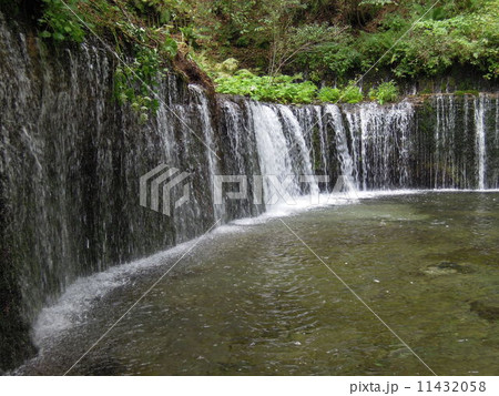 糸の滝 糸の滝 11432058