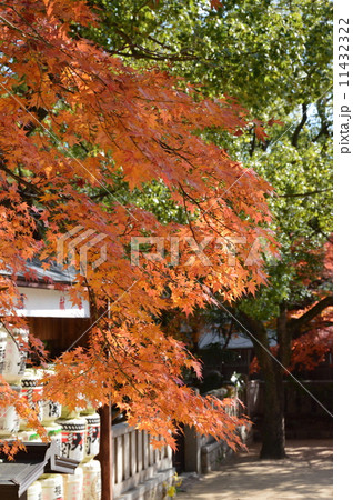 湊川神社（兵庫県神戸市中央区多聞通） 11432322
