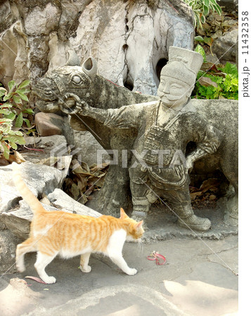 ワットポーの猫と石像 11432358