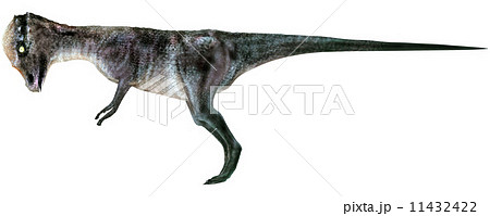 石頭恐竜☆パキケファロサウルス☆Pachycephalosaurus 11432422