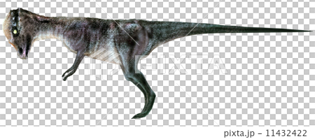 石頭恐竜☆パキケファロサウルス☆Pachycephalosaurus 11432422