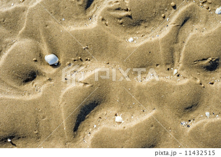 Beach with tracks 11432515