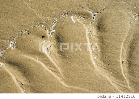 Beach with tracks Beach with tracks 11432516