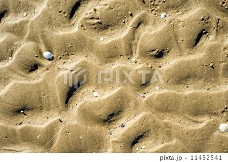 Beach with tracks Beach with tracks 11432541