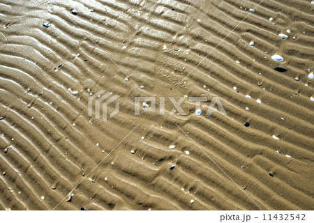 Beach with tracks 11432542