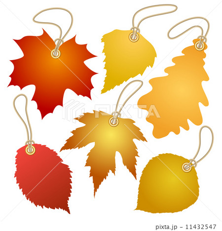 Hanging vector tags with autumn leaves. 11432547