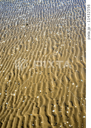 Beach with tracks Beach with tracks 11432556