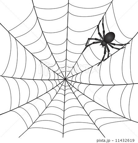 Spiderweb With Spiderのイラスト素材