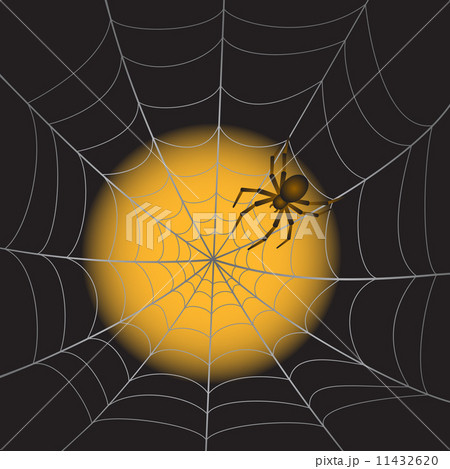 Spiderweb with Spider Spiderweb with Spider 11432620