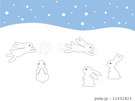 うさぎ2 11432823