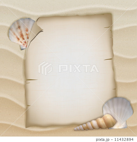 Shells and blank paper sheet 11432894