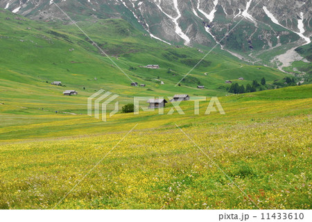 アルぺ・ディ・シウジ　Alpe　di　Siusi　　シリアール・カティナッチョ国立公園　Parco　Naturale　Sciliar-Catinaccio 11433610