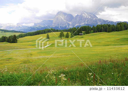 アルぺ・ディ・シウジ　Alpe　di　Siusi　　シリアール・カティナッチョ国立公園　Parco　Naturale　Sciliar-Catinaccio 11433612