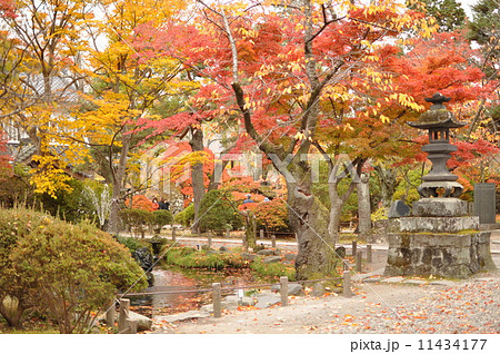 小諸懐古園 11434177