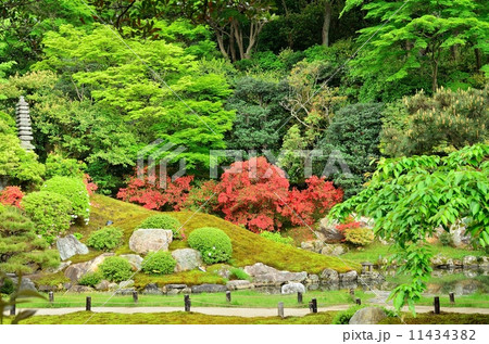 青蓮院　相阿弥の庭 11434382