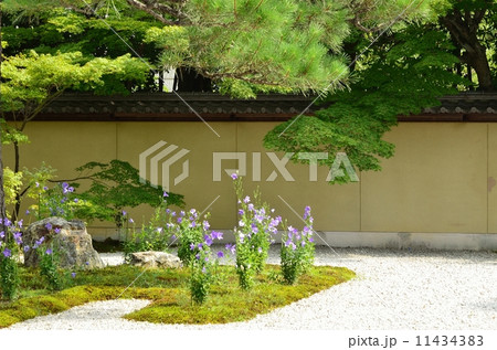 廬山寺　源氏庭 11434383
