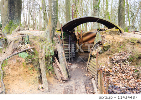 world war one trenches on hill in flanders fields Belgium world war one trenches on hill in flanders fields Belgium 11434487
