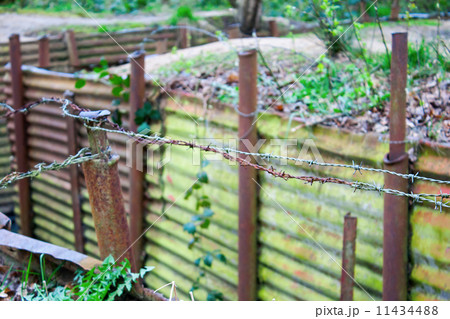 world war one trenches on hill in flanders fields Belgium world war one trenches on hill in flanders fields Belgium 11434488