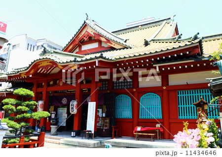 徳大寺 徳大寺 11434646