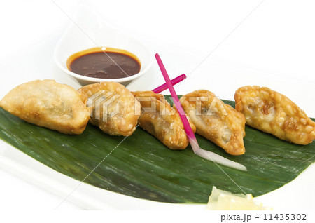 Japanese dumplings with lettuce on white background Japanese dumplings with lettuce on white background 11435302