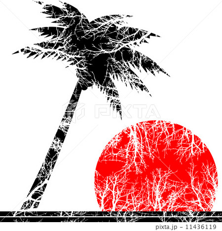 Palm Tree 11436119