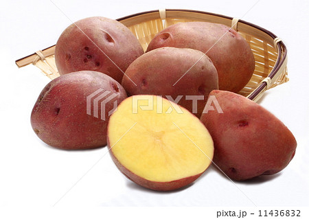 アンデスレッド 赤い ジャガイモ 白背景の写真素材