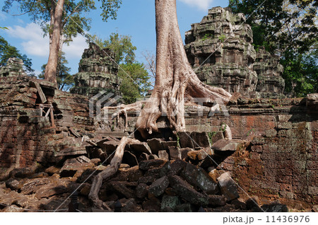 Ta Prohm Temple. Angkor. Cambodia Ta Prohm Temple. Angkor. Cambodia 11436976