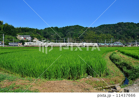鉄道　　列車　　山陰本線　　京都口　　221系　　千代川～八木　　初夏　　夏　　青稲　稲　田んぼ　　田園　JR西日本　嵯峨野線　ローカル　普通 11437666