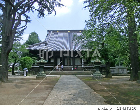 寛永寺の根本中堂(東京都台東区上野公園) 寛永寺の根本中堂(東京都台東区上野公園) 11438310