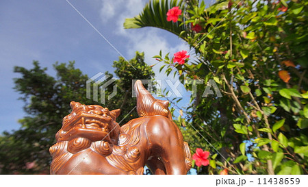宮古島風景写真　シーサーとハイビスカス 11438659