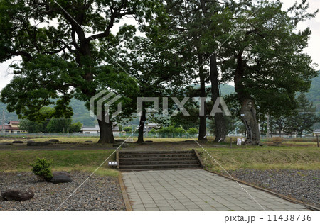 上田散歩・信濃国分寺跡　講堂跡 11438736