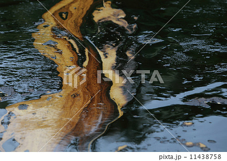Gulf oil spill is shown on a beach 11438758