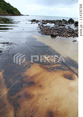 Gulf oil spill is shown on a beach 11438788