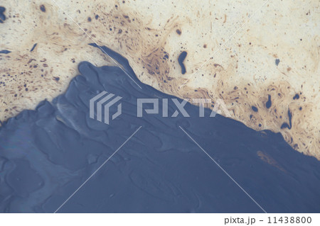 Gulf oil spill is shown on a beach Gulf oil spill is shown on a beach 11438800