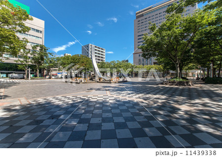 千葉県千葉市の千葉中央公園 11439338