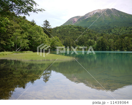 北海道オンネトー初夏 北海道オンネトー初夏 11439364
