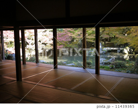 蓮華寺 11439365