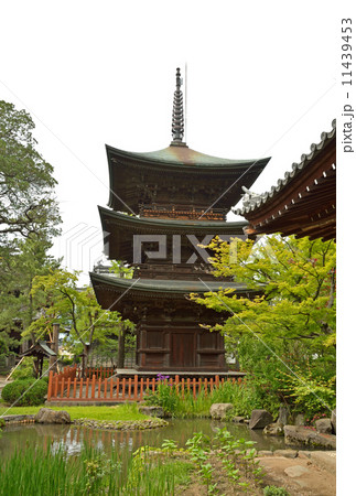 上田散歩・信濃国分寺　三重塔 11439453