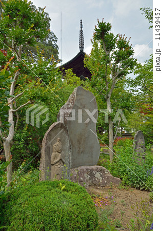 上田散歩・信濃国分寺 三重塔 上田散歩・信濃国分寺 三重塔 11439457