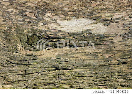 Old wood cracked texture 11440335