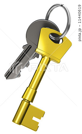 keys with keychain 11440619